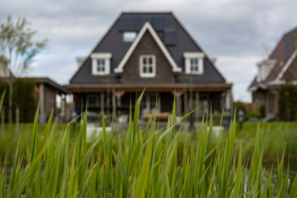 Transform Your Home into a Green Home with Simple Window Tinting!